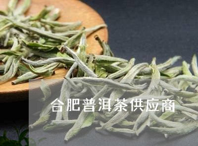 合肥普洱茶供应商/2023031617693