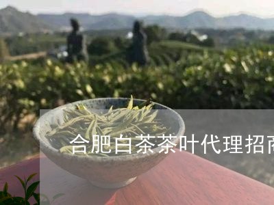 合肥白茶茶叶代理招商信息/2023040169704