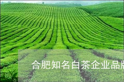 合肥知名白茶企业品牌排行/2023040159595