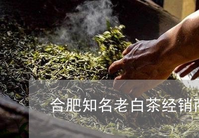 合肥知名老白茶经销商电话/2023040183727