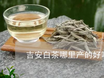 吉安白茶哪里产的好喝一点/2023040268384