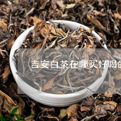 吉安白茶在哪买好喝的茶叶/2023040272793