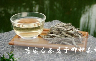 吉安白茶属于哪种茶种类型/2023040210572