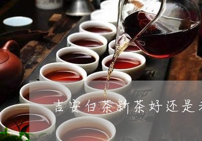 吉安白茶新茶好还是老茶好/2023040229263