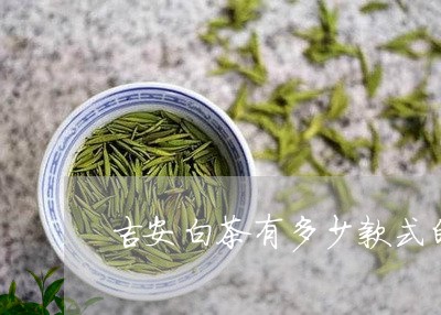 吉安白茶有多少款式的茶叶/2023040272949