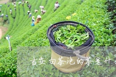 吉安白茶泡的茶是什么颜色/2023040254268