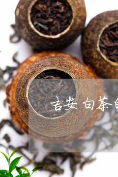 吉安白茶的生产季节是几月/2023040229361