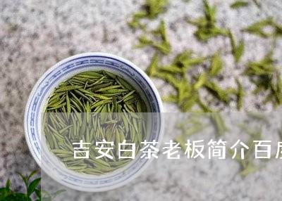 吉安白茶老板简介百度百科/2023040227369