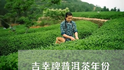 吉幸牌普洱茶年份/2023033108259