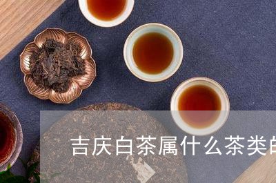 吉庆白茶属什么茶类的品种/2023040261604