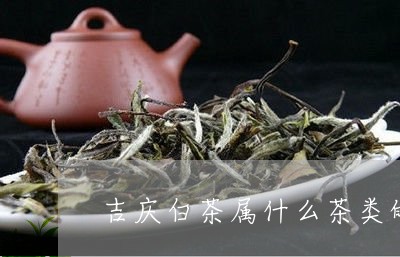 吉庆白茶属什么茶类的特点/2023040210593