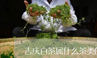 吉庆白茶属什么茶类的茶叶/2023040263837