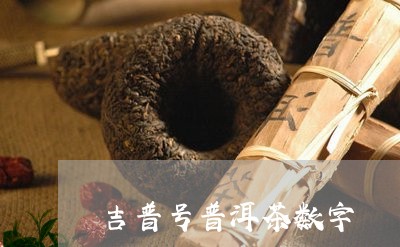 吉普号普洱茶数字/2023040961581