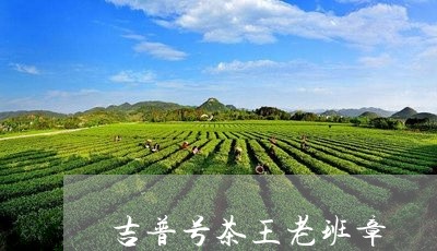 吉普号茶王老班章/2023032910736