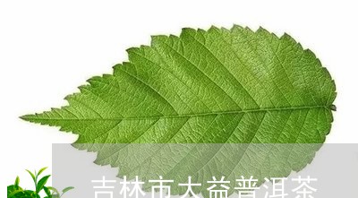 吉林市大益普洱茶/2023033157483