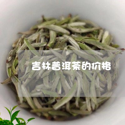 吉林普洱茶的价格/2023041294247