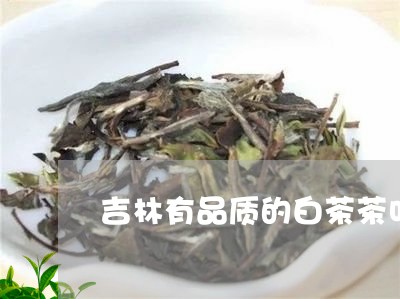 吉林有品质的白茶茶叶图片/2023040269693