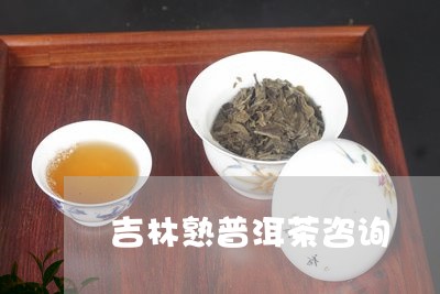 吉林熟普洱茶咨询/2023041093925