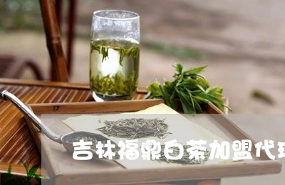 吉林福鼎白茶加盟代理电话/2023040241604