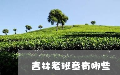 吉林老班章有哪些/2023032854926