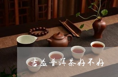 吉益普洱茶好不好/2023033118492