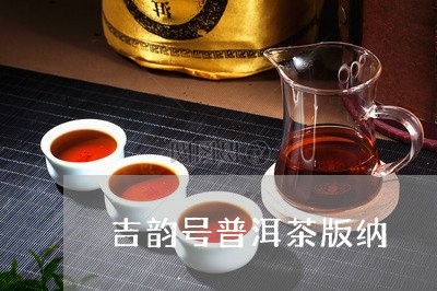 吉韵号普洱茶版纳/2023040148270