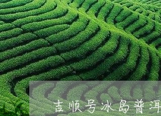 吉顺号冰岛普洱茶/2023031775037