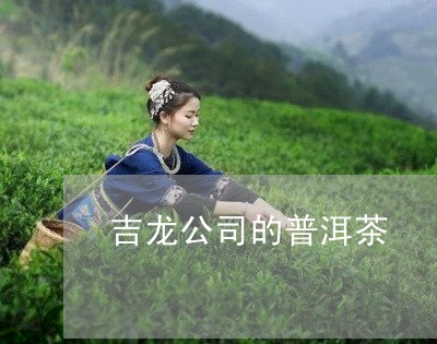 吉龙公司的普洱茶/2023040185726