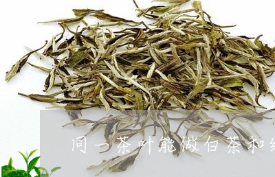 同一茶叶能做白茶和红茶吗/2023040261936