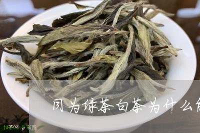 同为绿茶白茶为什么能久存/2023040218393