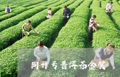 同升号普洱茶金奖/2023041026158