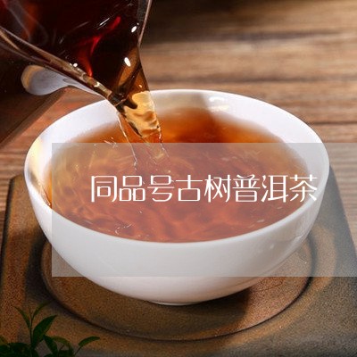 同品号古树普洱茶/2023033059814