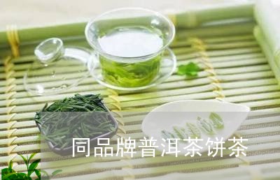 同品牌普洱茶饼茶/2023041102703