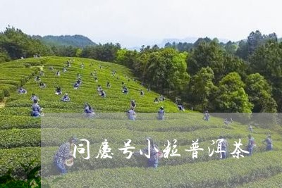 同庆号小粒普洱茶/2023041459472