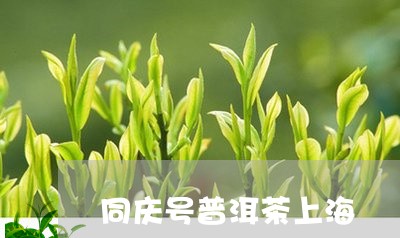 同庆号普洱茶上海/2023041156269