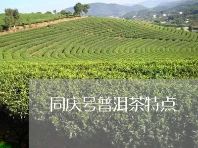 同庆号普洱茶特点/2023041008716