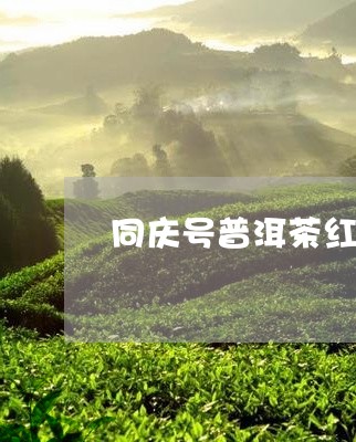 同庆号普洱茶红印/2023040153969