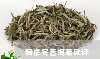 同庆号普洱茶风评/2023031695058