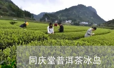 同庆堂普洱茶冰岛/2023031714480