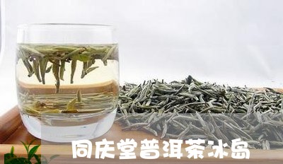 同庆堂普洱茶冰岛/2023031788362