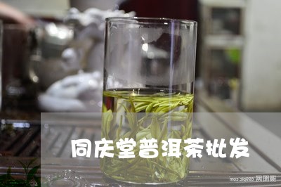 同庆堂普洱茶批发/2023041042657