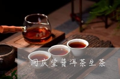 同庆堂普洱茶生茶/2023031801715