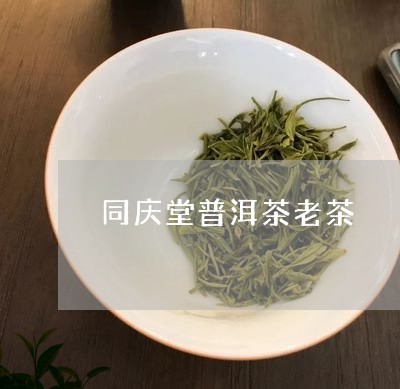 同庆堂普洱茶老茶/2023041136272