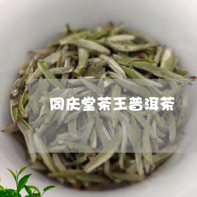 同庆堂茶王普洱茶/2023041260580