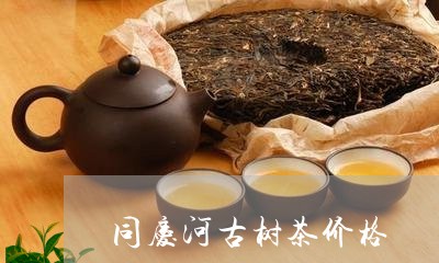 同庆河古树茶价格/2023032641616