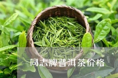 同志牌普洱茶价格/2023041032814