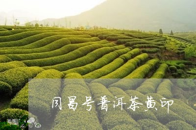 同昌号普洱茶黄印/2023041367350