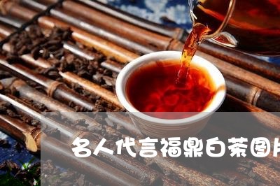 名人代言福鼎白茶图片大全/2023040250815