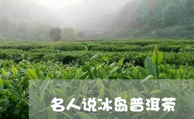 名人说冰岛普洱茶/2023031719472