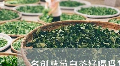 名创蓝莓白茶好喝吗怎么样/2023040292814